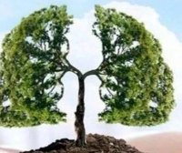 这位慢阻肺病人用上呼吸机，病情有所好转，就停用呼吸机，你知道这样有什么危害吗？