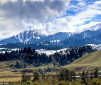 来自新疆朋友的关爱