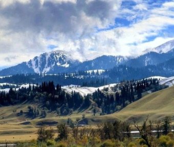 来自新疆朋友的关爱