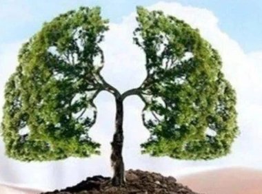 这位慢阻肺病人用上呼吸机，病情有所好转，就停用呼吸机，你知道这样有什么危害吗？