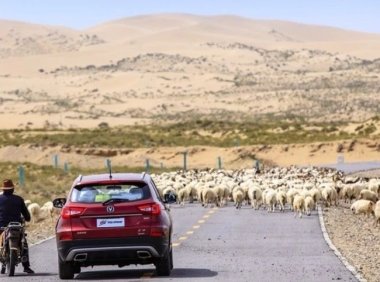 这位鼾症朋友在新疆自驾游，随身携带的呼吸机因故障无法使用，他是如何渡过难关的？