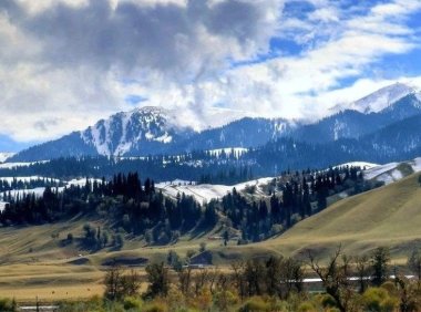 来自新疆朋友的关爱