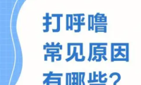 打鼾是什么原因导致的？打鼾的原因有这些_鼾友之家
